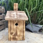 vogelnistkasten geflammt vorn