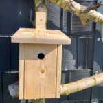 vogelnistkasten natur kaufen