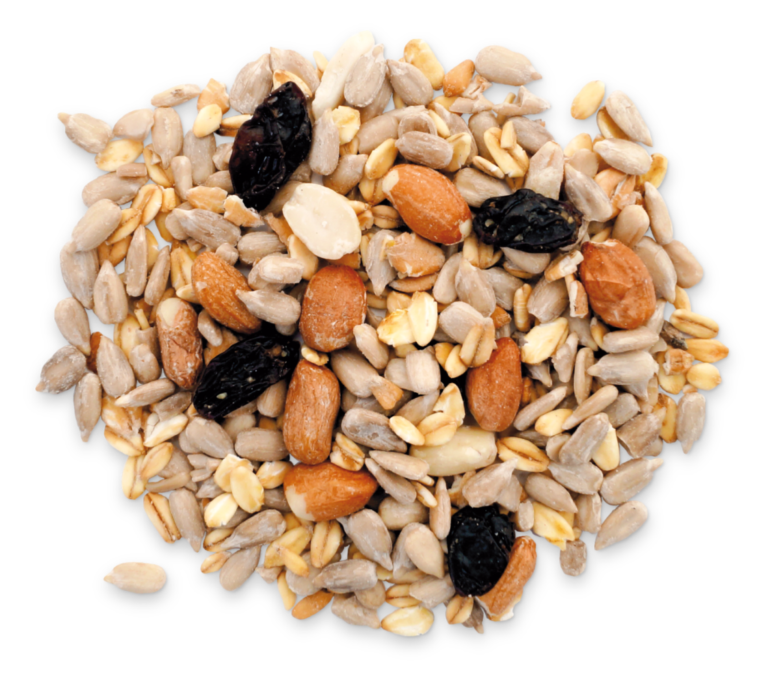 FumyFutter Vogelfutter Premium - 2,5kg Ohne Schalen Mit Erdnüssen & Sonnenblumenkernen